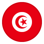 Εθνική Τυνησίας Μπάσκετ