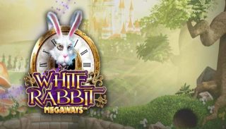 White rabbit slot