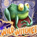 Wild witches slot logo