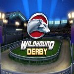 Wildhound derby slot logo