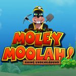 Moley Moolah live game