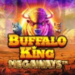 Buffalo King Megaways. Η νέα, δυνατή πρόταση της Pragmatic Play