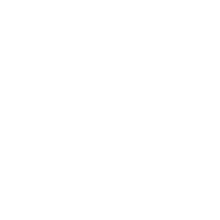 betsson logo