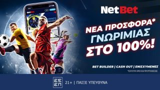 netbet 1203