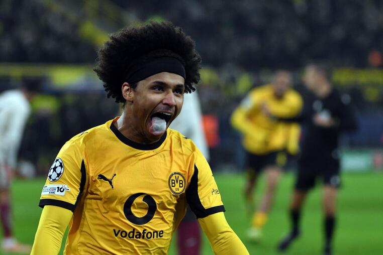 dortmund-eidika-stoiximata